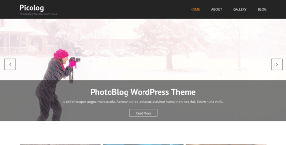 Picolog (WordPress)