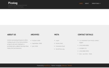 Picolog (screenshot desktop)