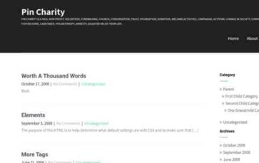 Pin Charity (screenshot desktop)