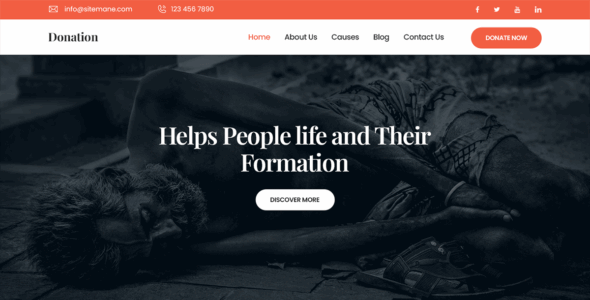 Pin Donation (WordPress)