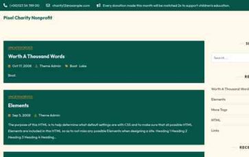 Pixel Charity Nonprofit (screenshot desktop)