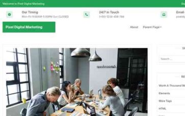 Pixel Digital Marketing (screenshot desktop)