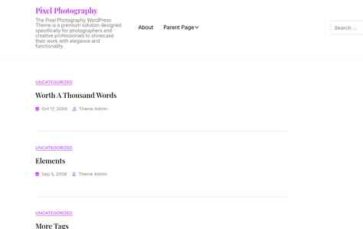Pixel Photography (screenshot desktop)