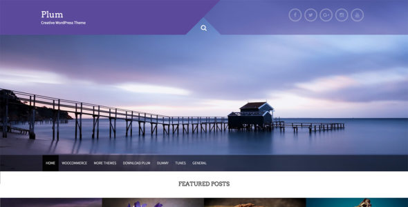 Plum (WordPress)