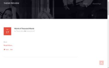 Polmo Lite (screenshot desktop)