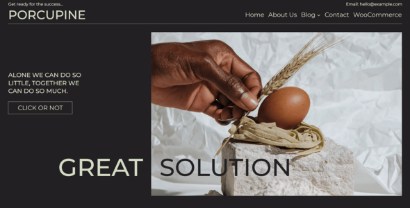 Porcupine (WordPress)