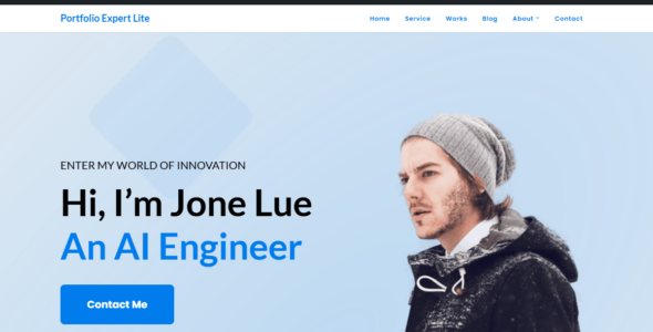 Portfolio Expert Lite (WordPress)