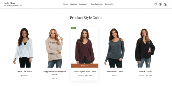 Prato Store (WordPress)