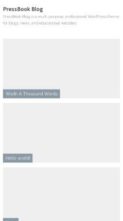 PressBook Blog (screenshot mobile)