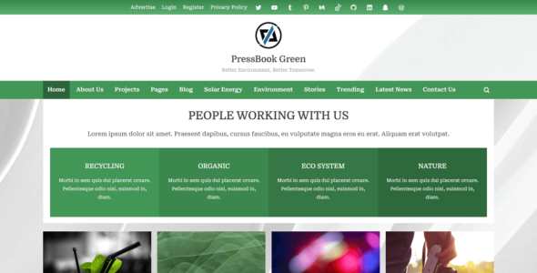 PressBook Green (WordPress)