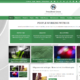 PressBook Green (WordPress)