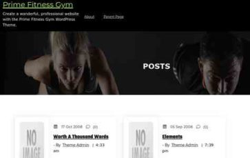 Prime Fitness Gym (screenshot desktop)