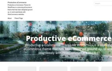 Productive eCommerce (screenshot desktop)