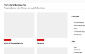Professional Business Pro (screenshot desktop)
