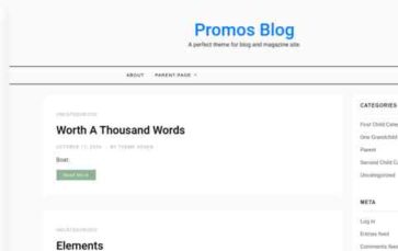 Promos Blog (screenshot desktop)