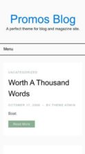 Promos Blog (screenshot mobile)