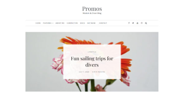 Promos Lite (WordPress)