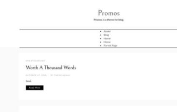 Screenshot Desktop Promos (screenshot desktop)