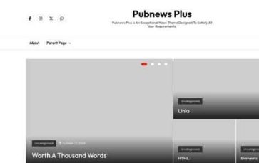 Pubnews Plus (screenshot desktop)
