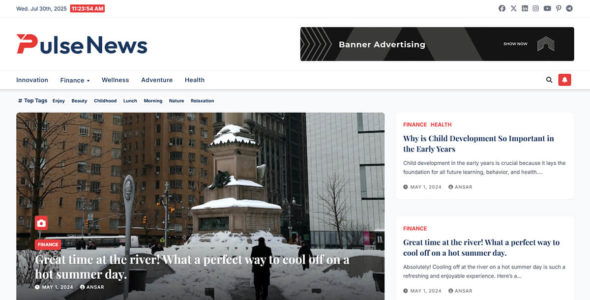 Pulse News (WordPress)