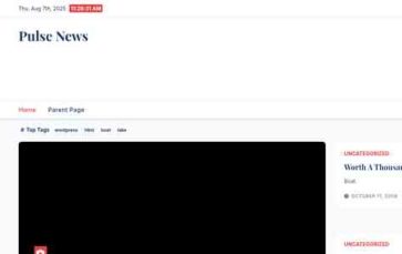 Pulse News (screenshot desktop)