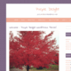 Purple Delight (WordPress)