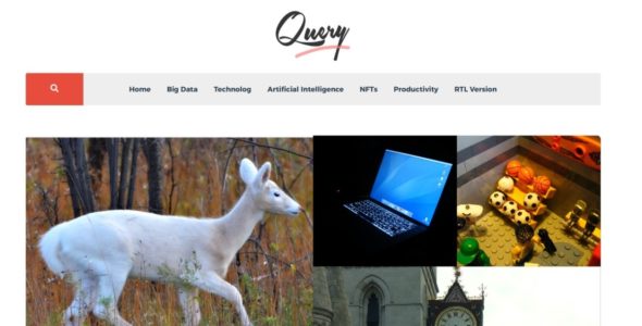 Query (WordPress)