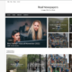 Real Newspapers (WordPress)