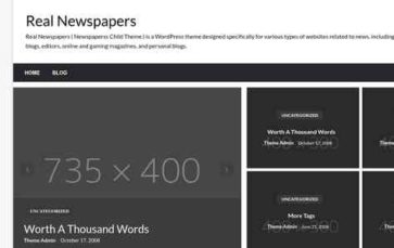 Real Newspapers (screenshot desktop)