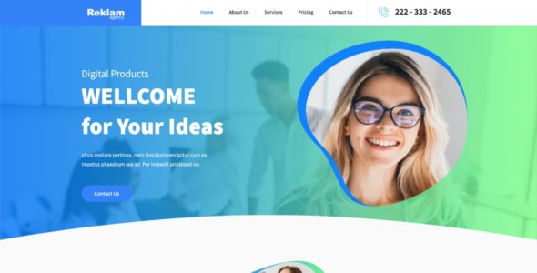 Reklam Agency (WordPress)