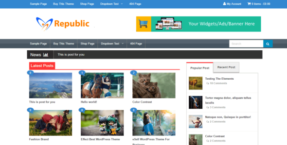 Republic (WordPress)