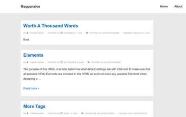 Responsive (CyberChimps) (screenshot desktop)