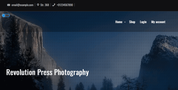 Revolution Press Photography (WordPress)