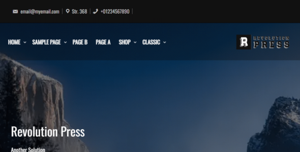 Revolution Press (WordPress)