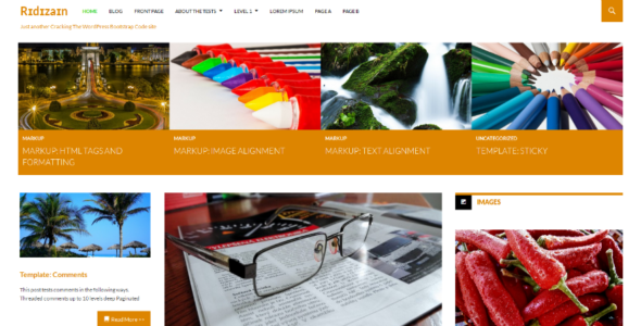 Ridizain (WordPress)