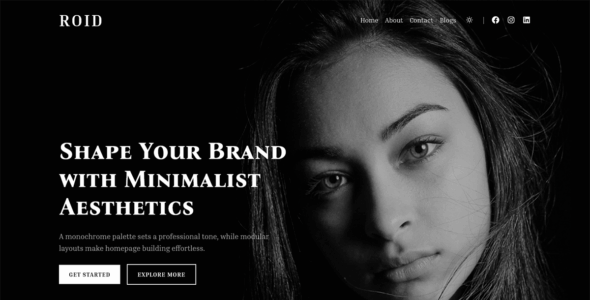 Roid (WordPress)