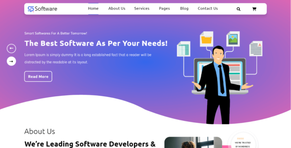 SAAS Software Technology (WordPress)