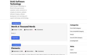 SAAS Software Technology (screenshot desktop)