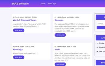 SAAS Software (screenshot desktop)