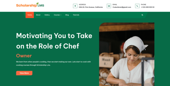 Scholarship LMS (WordPress)