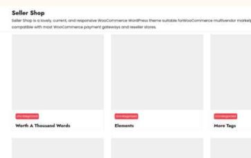 Seller Shop (screenshot desktop)