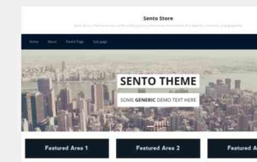Sento Store (screenshot desktop)