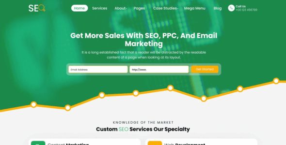 SEO Expert (WordPress)