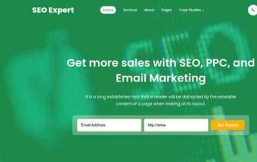 SEO Expert (SEO Themes Expert) - (screenshot desktop)