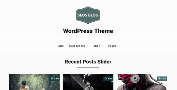 SEOS Blog (WordPress)