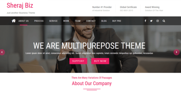 Sheraj Biz (WordPress)