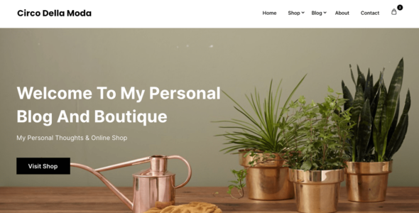 Shop and Blog (WordPress)