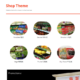 Shop (WordPress)