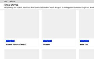 Shop Startup (screenshot desktop)