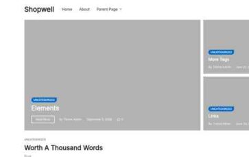 Shopwell (screenshot desktop)